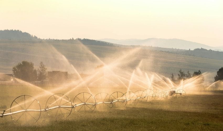 hyperpulse smart monitoring application