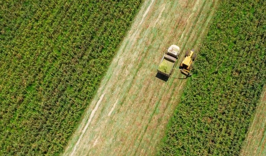 Asset Management in Agriculture using IoT