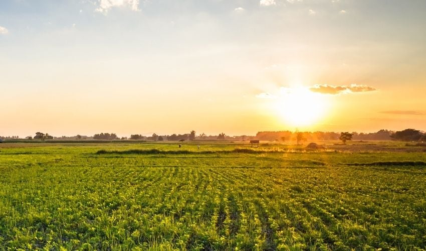 Environmental monitoring in remote area using satellite iot