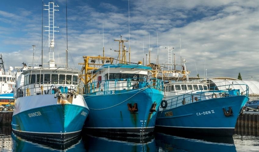 Fishing vessel monitoring using IoT