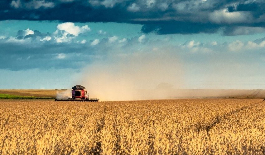 Yield monitoring and forecasting smart agriculture